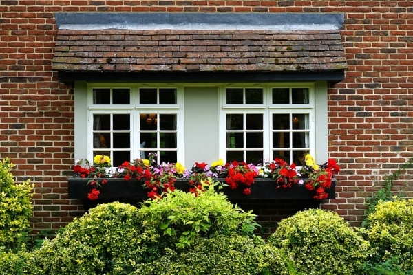 Window Flower Bed